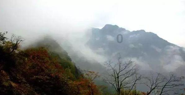逃离废弃自然公园