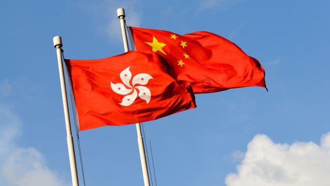拯救可爱小浣熊